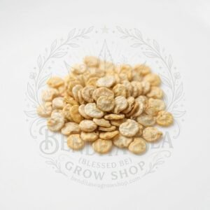 Semillas de Ají Habanero Rojo Fercon: semillas sobre fondo blanco