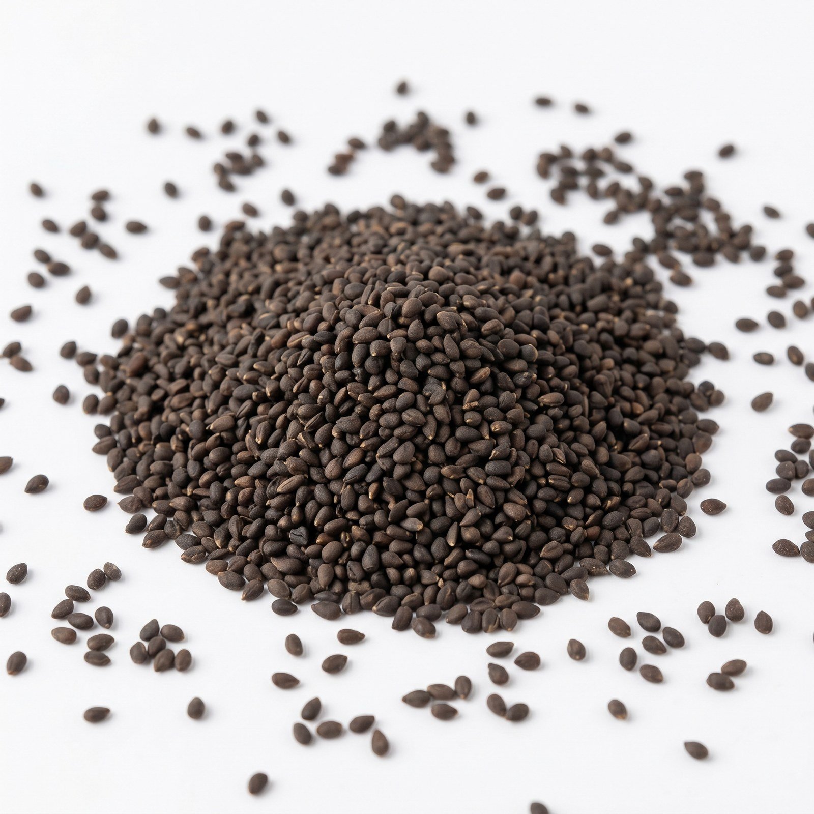 Semillas de Albahaca Fina Verde Fercon: montón de semillas negras sobre fondo blanco
