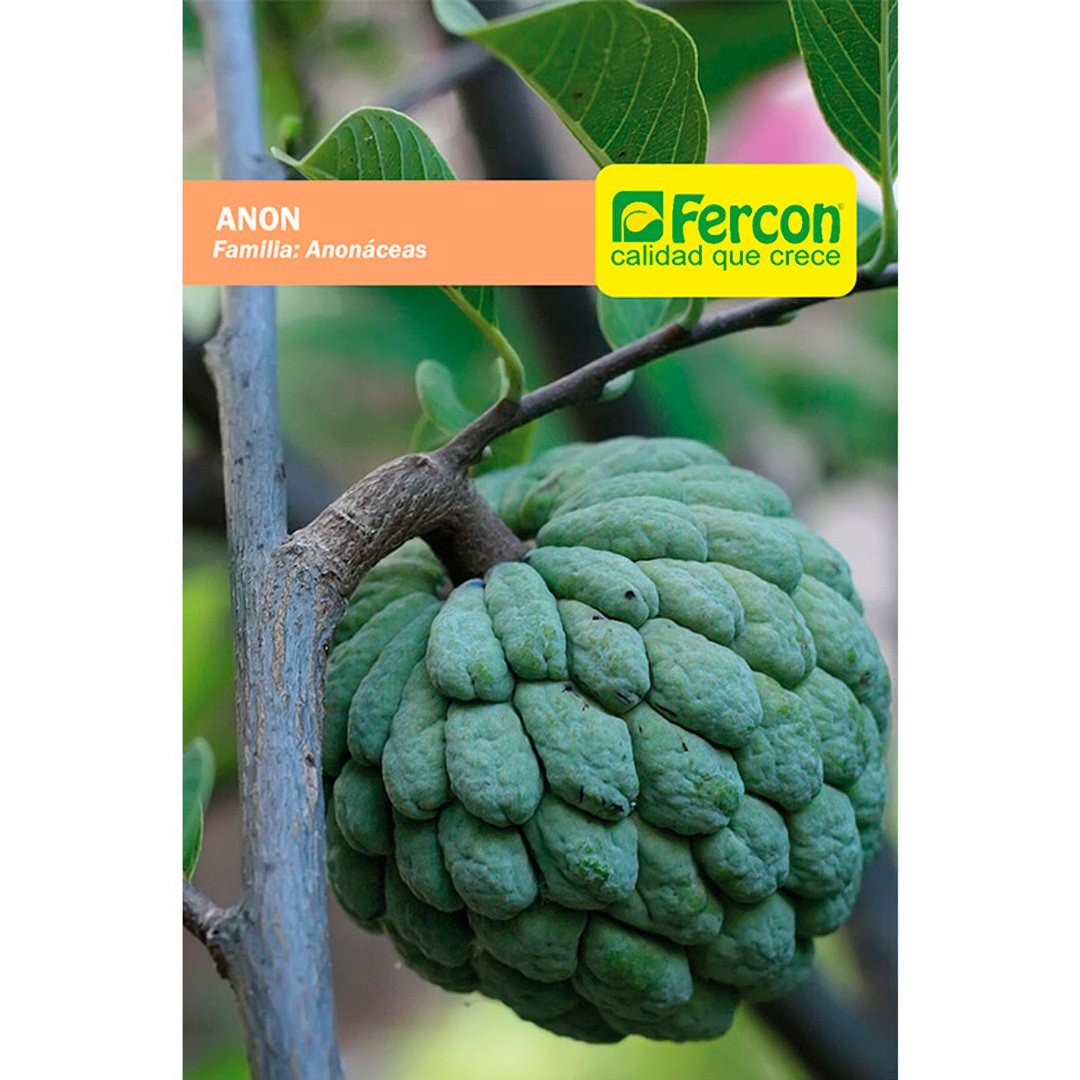 Semillas de Anón Anonaceas Frutales Fercon - Imagen 3