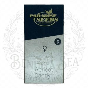semillas Apricot Candy: cogollo de Apricot Candy con la marca de agua de Bendita Sea