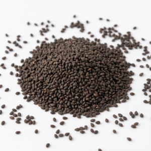 Semillas de Albahaca Fina Ocymun Basilicum Aromáticas Fercon