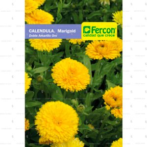 Calendula Marigold