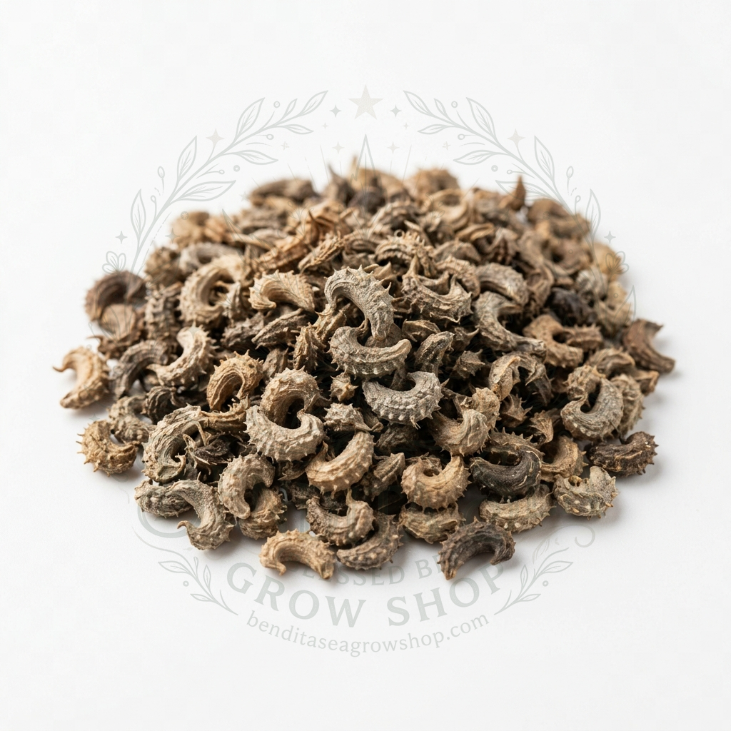 Semillas de Semillas aromáticas Calendula Marigold Mezcla Bendita Sea