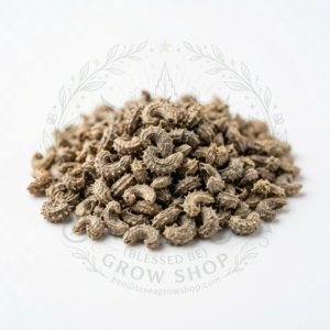 Semillas de Semillas aromáticas Calendula Marigold Naranja Bendita Sea