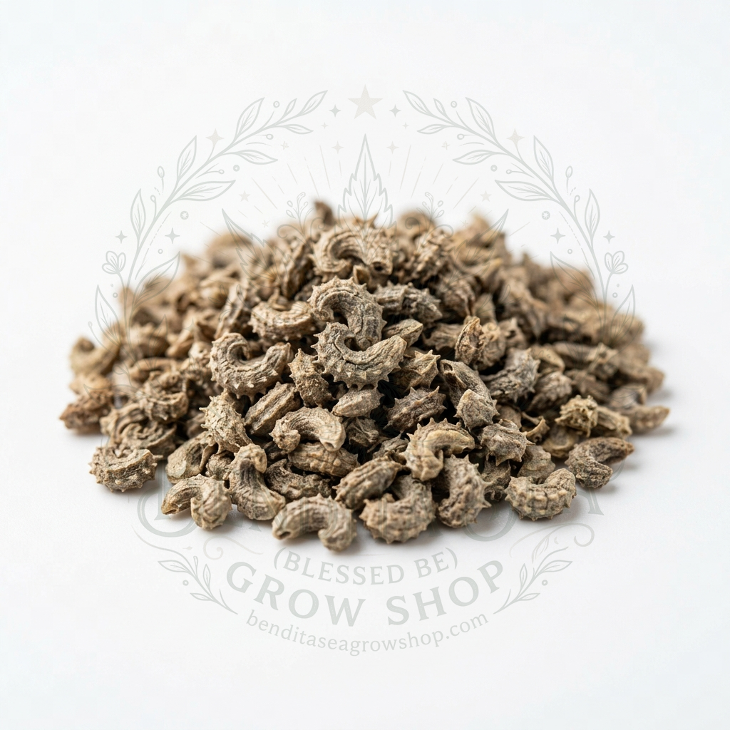 Semillas de Semillas aromáticas Calendula Marigold Naranja Bendita Sea