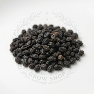 Semillas de Semillas aromáticas Cebollino Bendita Sea