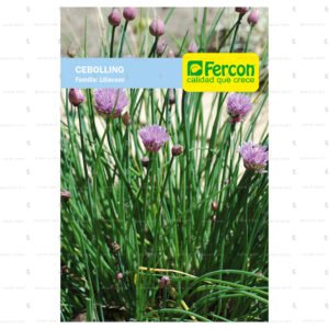 Semillas de Cebollino para Cultivar en Casa
