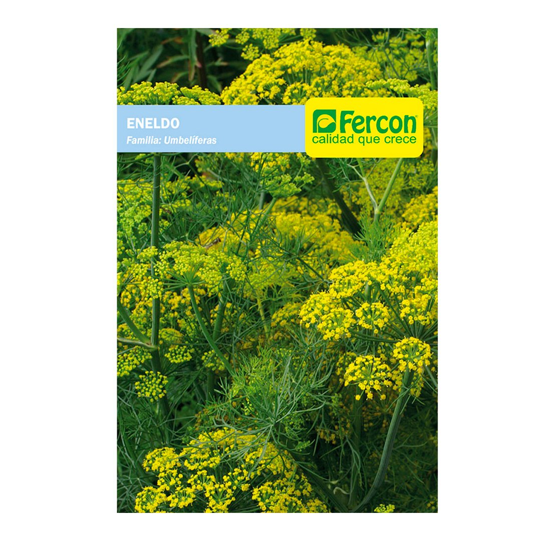 Semillas de Eneldo Anethum Aromáticas Fercon - Imagen 3