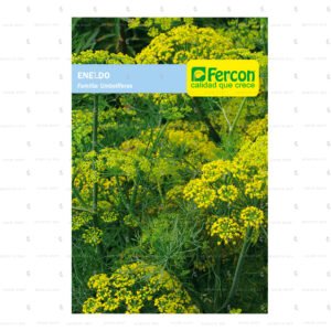 Semillas de Eneldo (Anethum graveolens)