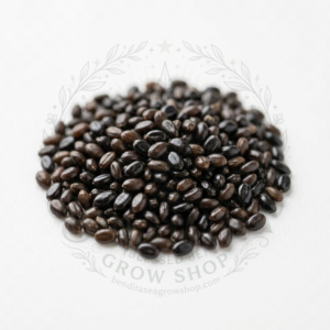 Semillas de Semillas aromáticas Lavanda Bendita Sea