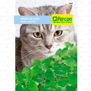Semillas Aromaticas Menta De Gato Fercon