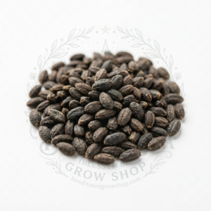 Semillas de Romero Rosmarinus Aromáticas Fercon
