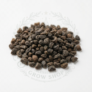 Semillas de Ruda Graveolens Aromáticas Fercon