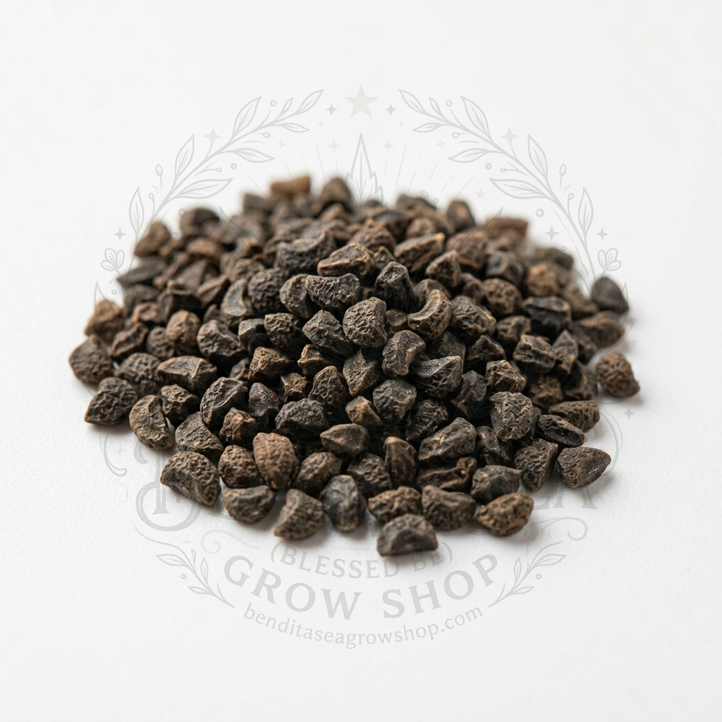 Semillas de Semillas aromáticas Ruda Bendita Sea