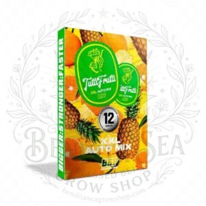 semillas Auto TuttiFrutti Mix: cogollo de Auto TuttiFrutti Mix con la marca de agua de Bendita Sea