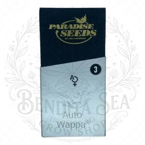semillas Auto Wappa: cogollo de Auto Wappa con la marca de agua de Bendita Sea