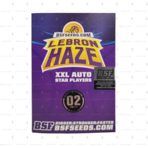 Semillas Autoflorecientes Lebron Haze XXL Auto BSF Seeds x2