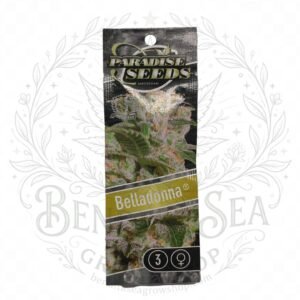 semillas Belladonna: cogollo de Belladonna con la marca de agua de Bendita Sea