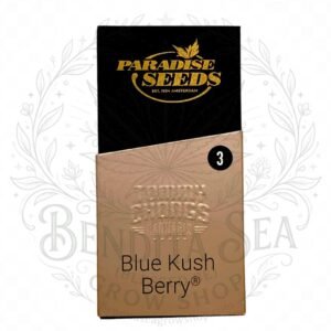 semillas Blue Kush Berry: cogollo de Blue Kush Berry con la marca de agua de Bendita Sea