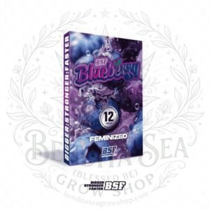 semillas Blueberry: cogollo de Blueberry con la marca de agua de Bendita Sea