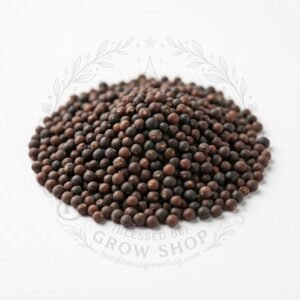 Semillas de Brócoli Calabrese Fercon: sobre sobre fondo blanco con la marca de agua de Bendita Sea