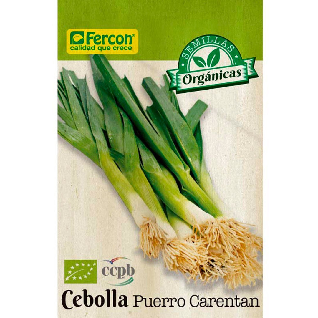 Semillas de Cebolla Puerro Fercon: sobre orgánico de cebolla puerro Carentan, vista frontal