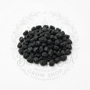 Semillas de Cebolla Puerro Fercon: sobre sobre fondo blanco con la marca de agua de Bendita Sea