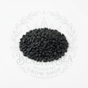 Semillas de Cebolla Yellow Granex Fercon: sobre sobre fondo blanco con la marca de agua de Bendita Sea
