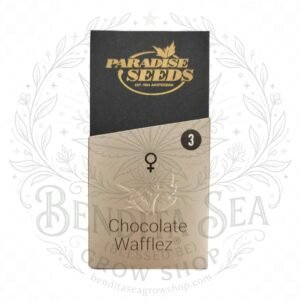 semillas Chocolate Wafflez: cogollo de Chocolate Wafflez con la marca de agua de Bendita Sea