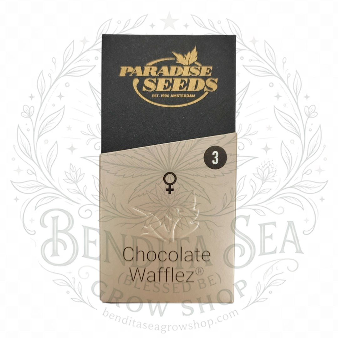 semillas Chocolate Wafflez: cogollo de Chocolate Wafflez con la marca de agua de Bendita Sea