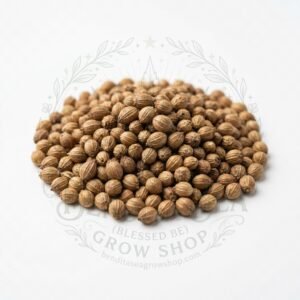 Semillas de Cilantro Patimorado Fercon: sobre sobre fondo blanco con la marca de agua de Bendita Sea
