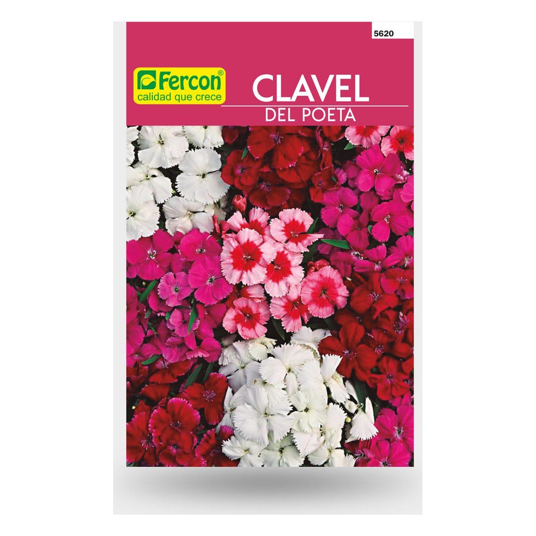 Semillas de Clavel del Poeta Doble Mezcla Fercon: sobre Fercon con claveles blancos, rojos y rosados mezclados