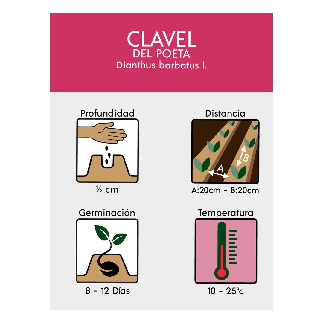 Semillas de Clavel del Poeta Doble Mezcla Fercon: reverso del sobre con los datos de siembra