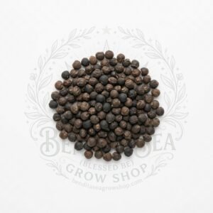 Semillas de Coliflor Early Snowball Fercon: sobre sobre fondo blanco con la marca de agua de Bendita Sea