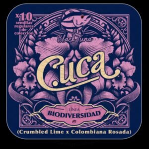 semillas Cuca: cogollo de Cuca con la marca de agua de Bendita Sea