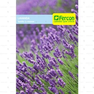 Paquete de semillas de lavanda angustifolia Bendita sea Grow Shop