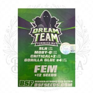 semillas Dream Team: cogollo de Dream Team con la marca de agua de Bendita Sea