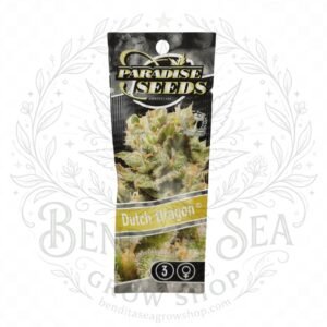 semillas Dutch Dragon: cogollo de Dutch Dragon con la marca de agua de Bendita Sea