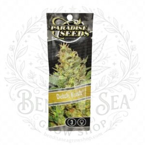 semillas Dutch Kush: cogollo de Dutch Kush con la marca de agua de Bendita Sea