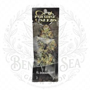 semillas El Dorado Og: cogollo de El Dorado Og con la marca de agua de Bendita Sea