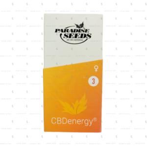 semillas feminizadas cbd