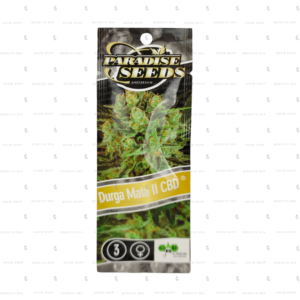 semillas feminizadas cbd