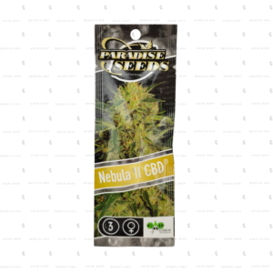 semillas feminizadas cbd