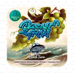 Ocean Spray
