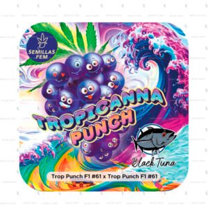 Tropicanna Punch