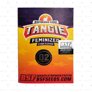 semillas feminizadas y autoflorecientes
