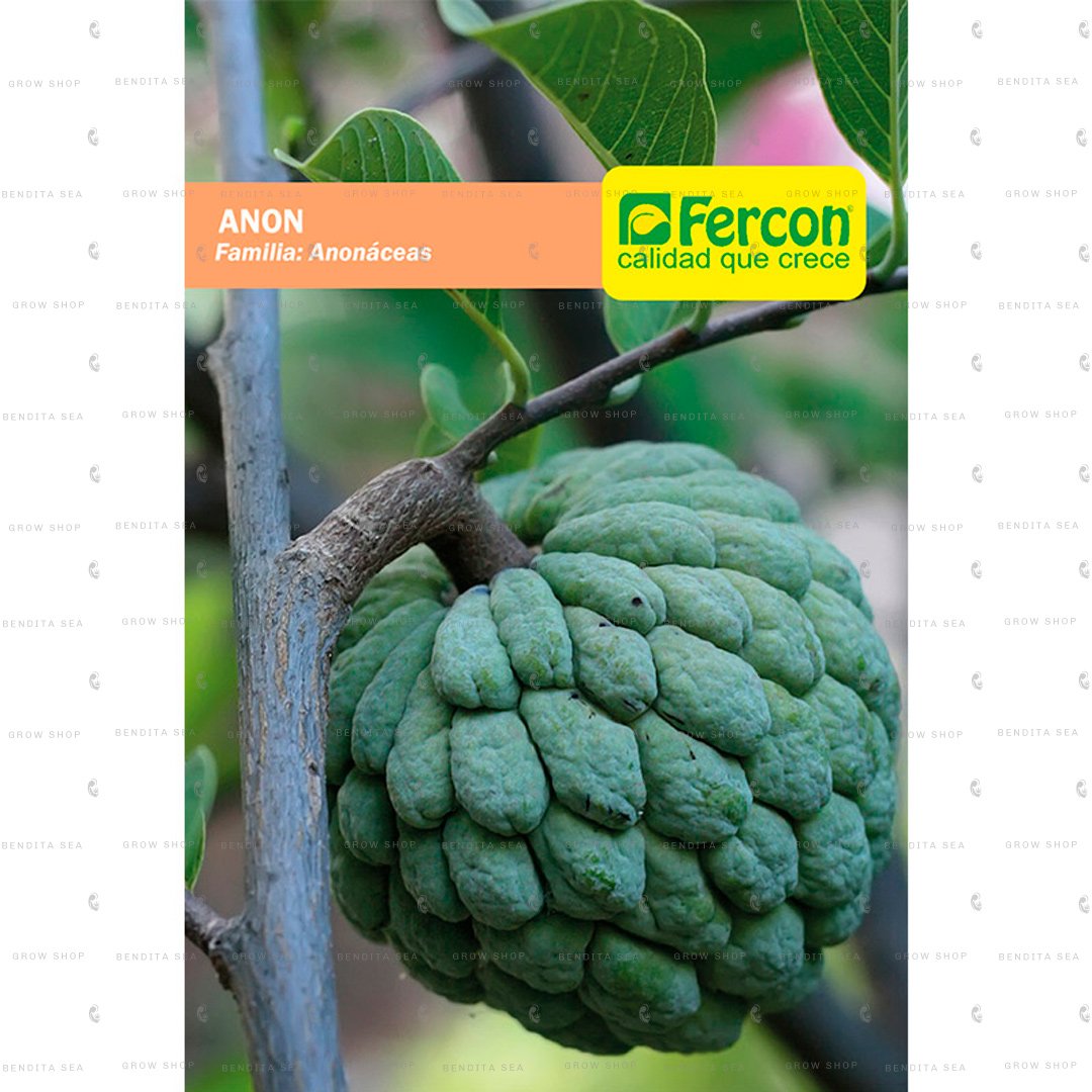 Paquete de semillas de anón de la marca Fercon para sembrar árbol frutal.