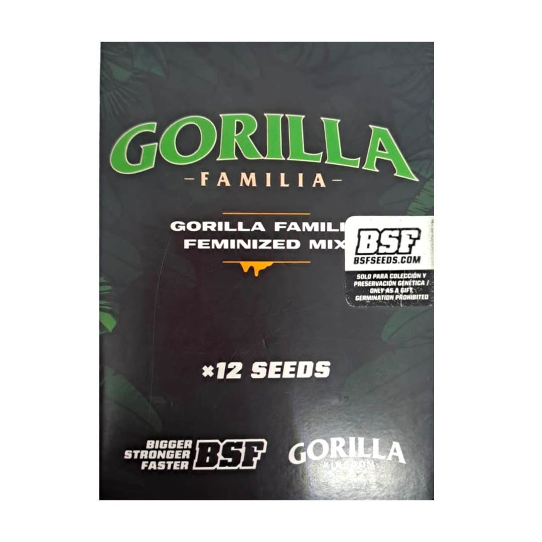 semillas Gorilla Familia: foto de BSF Seeds del cogollo de Gorilla Familia