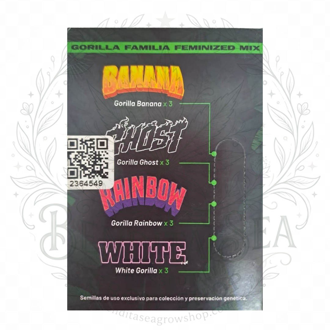 semillas Gorilla Familia: cogollo de Gorilla Familia con la marca de agua de Bendita Sea, vista 2