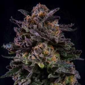 semillas Gorilla Piña: cogollo de Gorilla Piña con la marca de agua de Bendita Sea